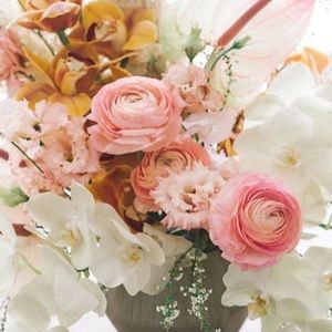 Meet your Posher, Katherine